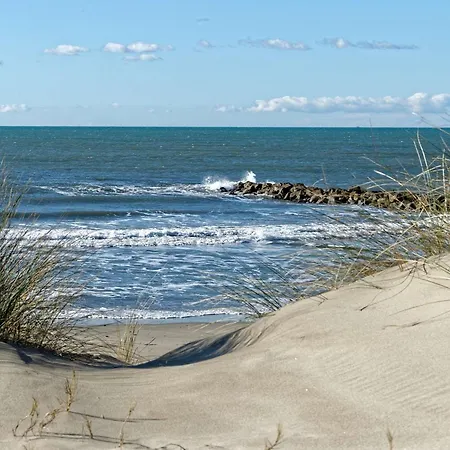 3 Pieces En Rdc, 100m De La Plage, Terrasse, Parking Prive, 6 Couchages, Confort - Fr-1-307-160 Le Grau-du-Roi